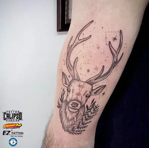 Calipso Tattoo & Piercing Logroño