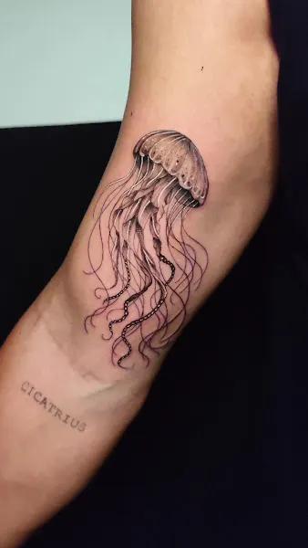 Black ink black tattoo shop - Ulldecona