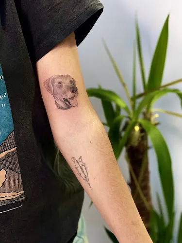 A U R E A Tattoo Studio - Tienda de piercings y tatuajes en Madrid